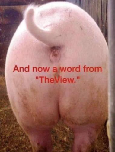 A4EDB0ED-89DA-4CC4-B0DD-89B772EE9AB8