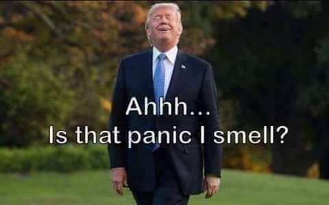 FB_IMG_1644780138091