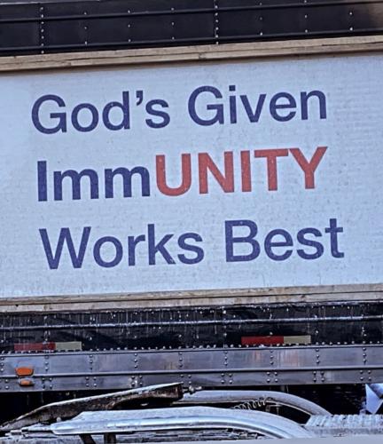 IMG_20220211_114541_445