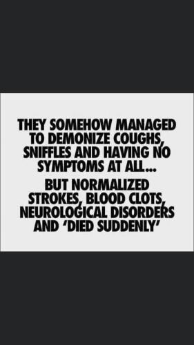 272305040_998685470725625_7127413275891012498_n