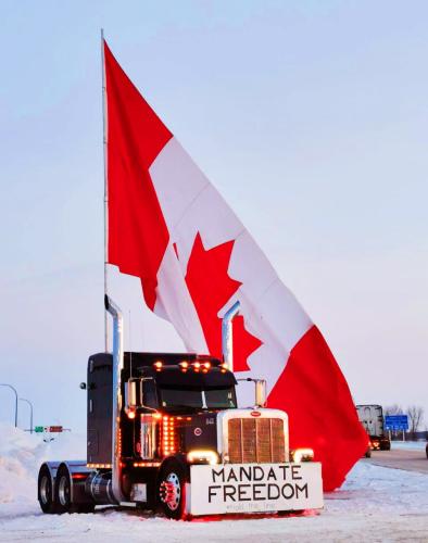 IMG_20220131_184132_802