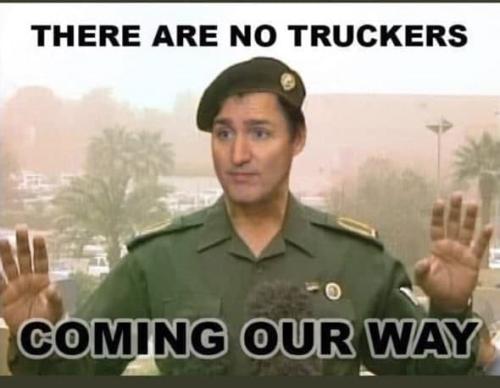 photo_2022-02-01_11-38-44