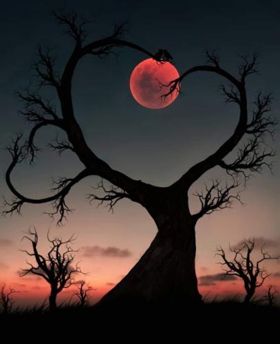 FB_IMG_1620175722114