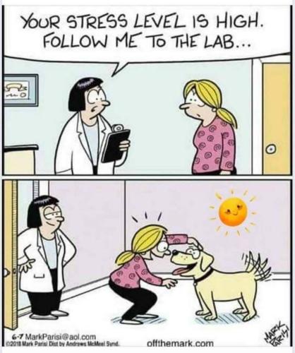 The Lab