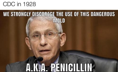 d1da1962-83ed-4493-8567-ae088f01a77bd