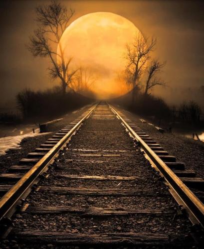 FB4CD2E0-2A8E-4D5C-A03D-C5F20716AFDF