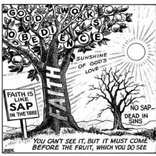 1644516450006_hub_od_