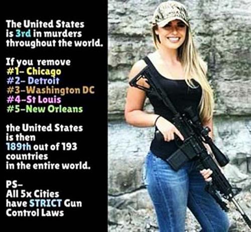 gun control laws