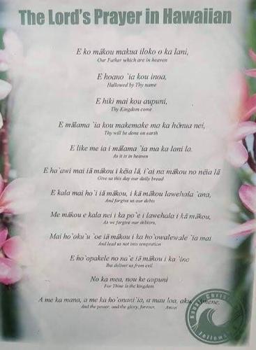 IMG_20220211_114933_602