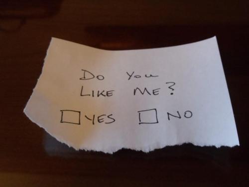 photo4945051665183124216