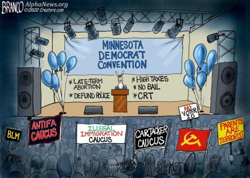 AF Branco Minnesota Dems Birds Stick Together