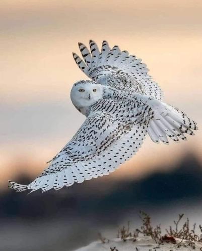 9F213E97-E45D-4755-8C47-5DF12875823F