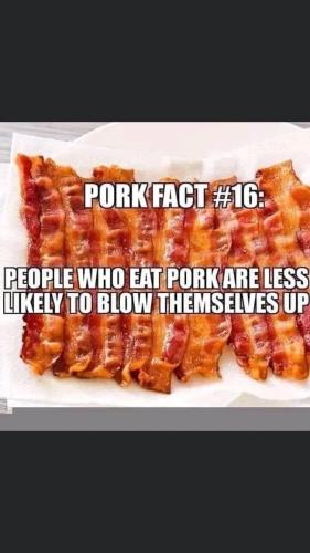 47d16927-401e-4bdb-b619-c28e614b0af6