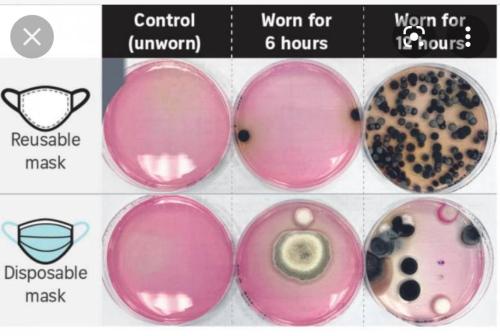 photo_2022-02-24_05-33-15
