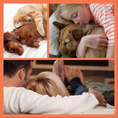 4ED1EBB9-2B37-426C-B009-546E6F860F3F