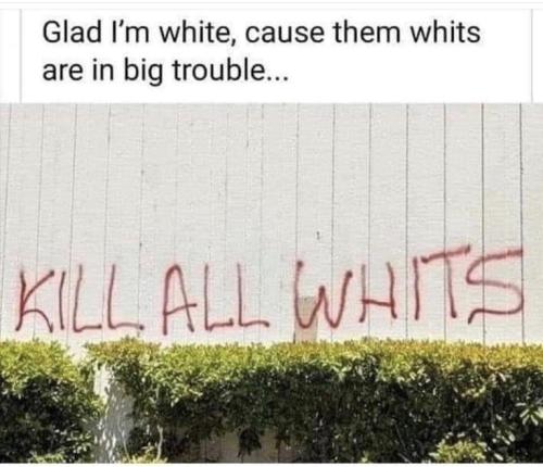 a3f4559c66b8b1224233de6a2ce948bd_500x0