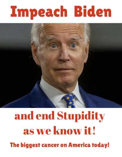 M Stupidity