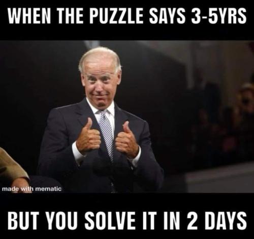 biden puzzle