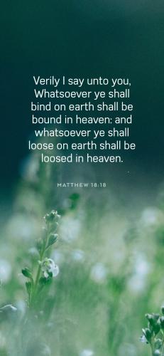 47F2CFAA-A779-4AA5-A960-127E33DA4A19