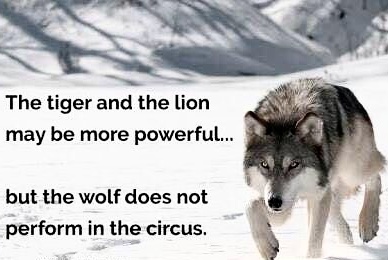 CFCBCFDC-9909-4383-8291-F95B911D3591