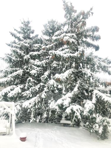 A6F7C9ED-FEDC-42CF-8419-FFF661F2AF6C