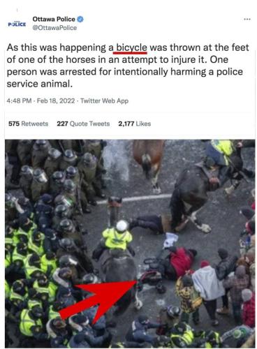 horse stomping protesters photo_2022-02-18_20-45-39