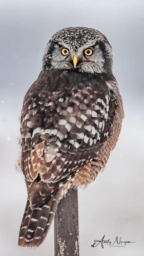 3911D341-2BE5-4AA7-A747-25265D5DDEDA