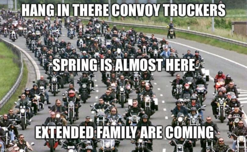 bikes