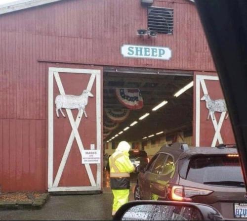 44409057-C9C6-4A01-819F-809B313086EE