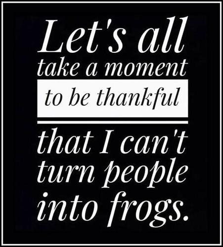 M frogs