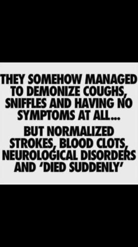 D12357AC-90D8-4D49-A6DB-360CA4B5E149