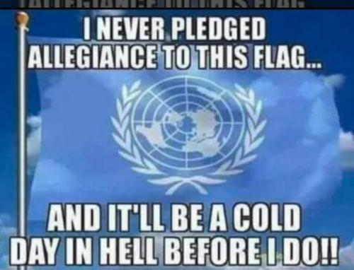 Screenshot_20220223-061545_DuckDuckGo