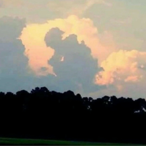 1644120007284_hub_od_