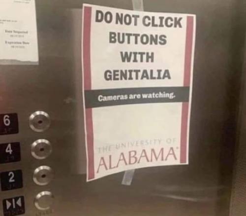 273835868_5402119306483224_2275721356483285663_n