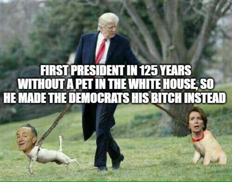 1ST PREIDENT WITHOUT PETS