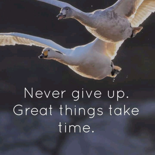 1644382120263_hub_od_