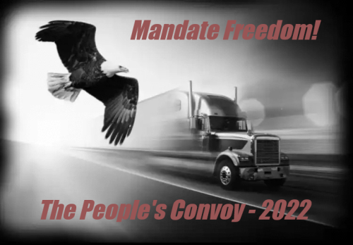 mandate freedom