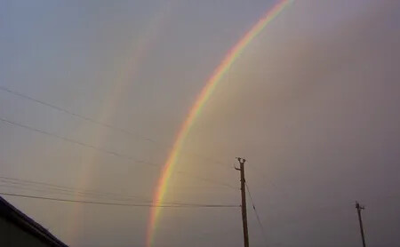 RainbowSept212006001
