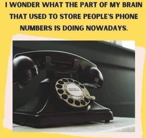 phonenumbers