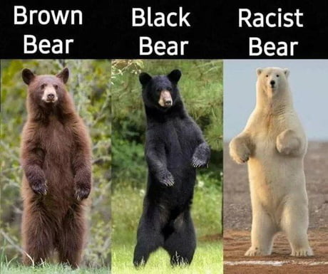 97173e7231063a58 (1)