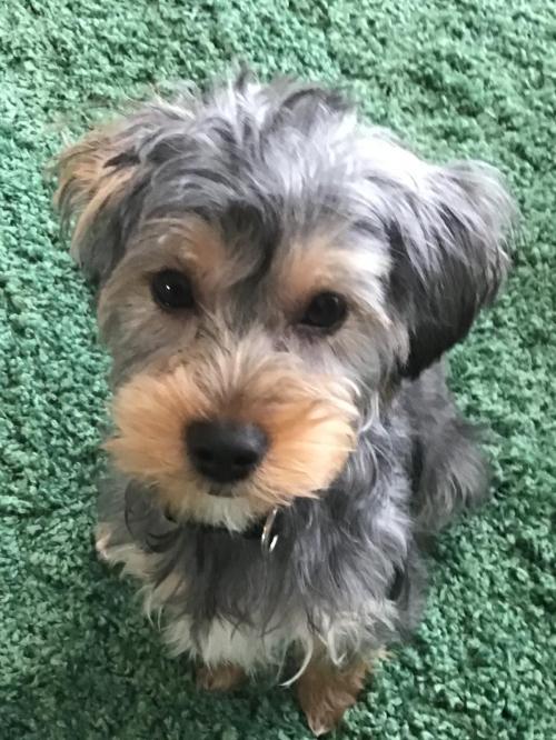 B3666B74-3D72-476B-B33F-D48ECF3EF09D