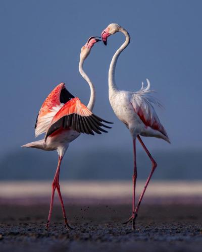 440436CB-4540-4597-9606-5FDED962975D