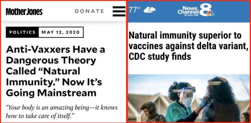 391ad112-325d-4f7e-8028-a1e61549a0bdd