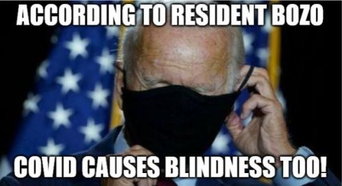 bidenbozoisblind