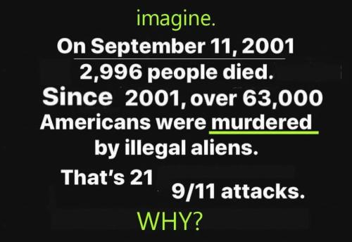 951cd0e0-d217-4c01-a85b-027c641d482c