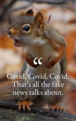 Screenshot_20220112-191523_MeWe