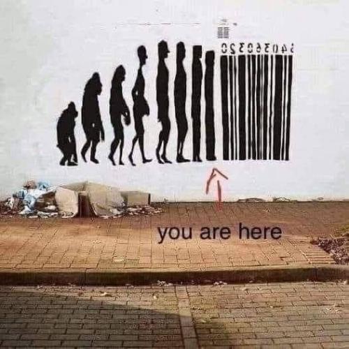 Evolution