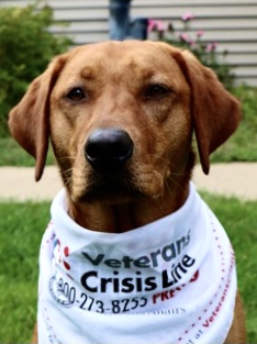 B285342E-18E0-44BF-91B4-A753F3F91950