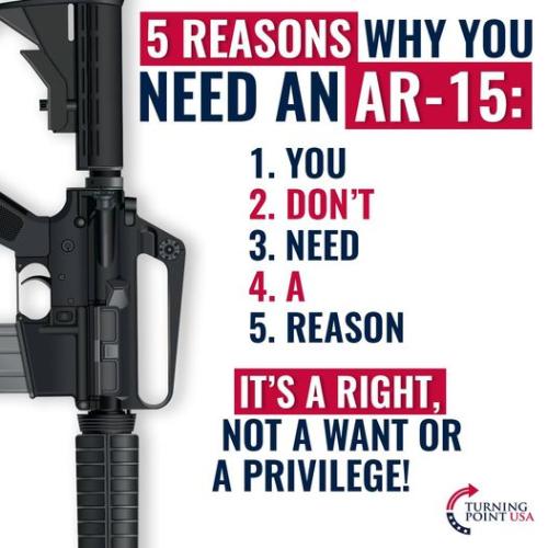 YouDontNeedReasonAR-15