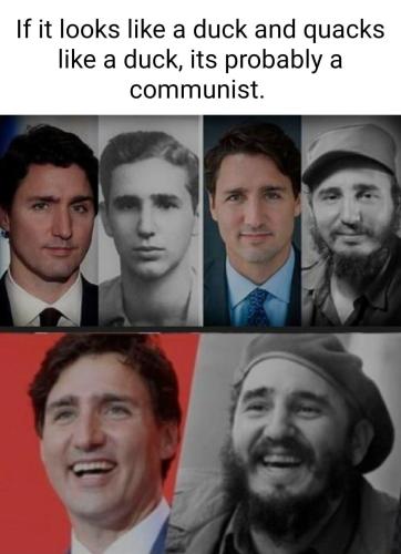 C54DB27C-2745-4603-A794-D99B4E7673F5